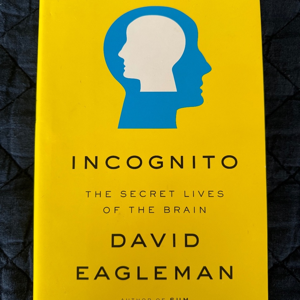 Incognito by David Eagleman